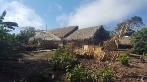 Un villaggio munduruku