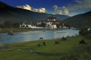 Nel Regno del Bhutan