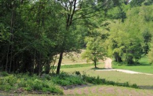 Il parco Valle della Bevera