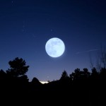 FRATELLO SOLE, SORELLA LUNA
